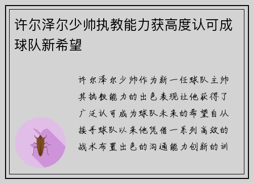 许尔泽尔少帅执教能力获高度认可成球队新希望